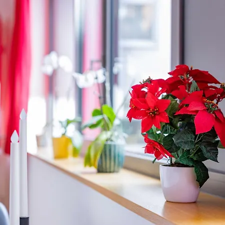 Altstadtsuite Center 아파트 *