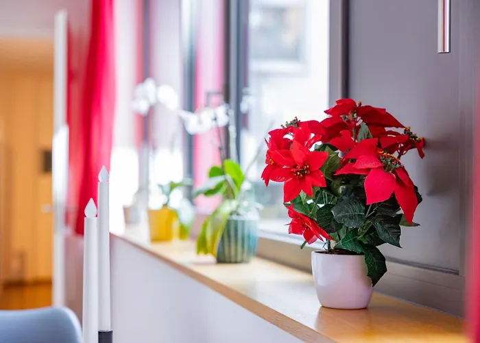 Altstadtsuite Center 公寓 *